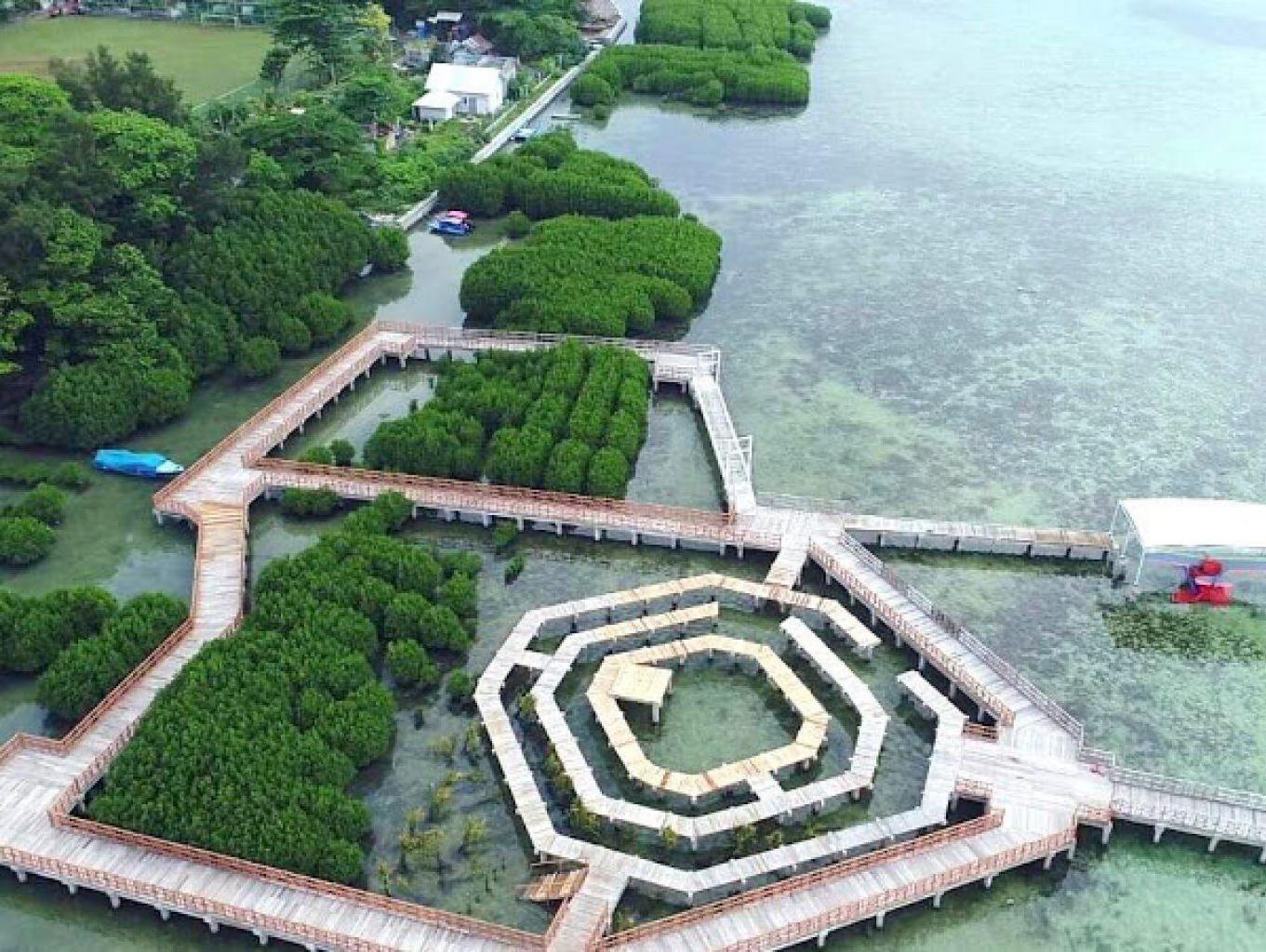 Wisata Edukasi Mangrove