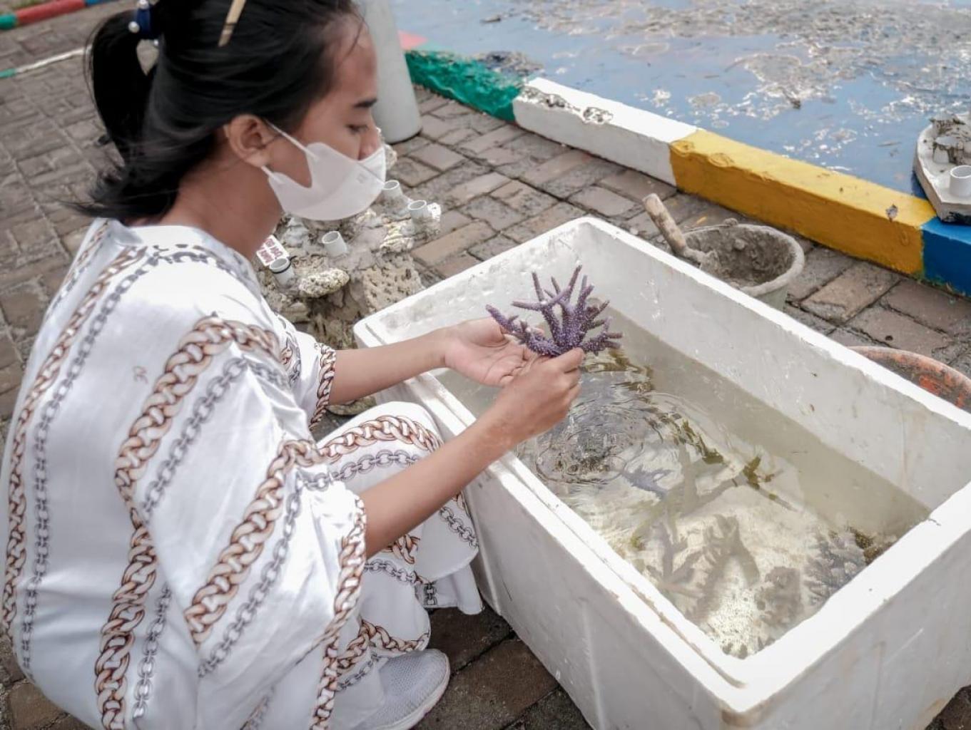 Edukasi Transplantasi Karang
