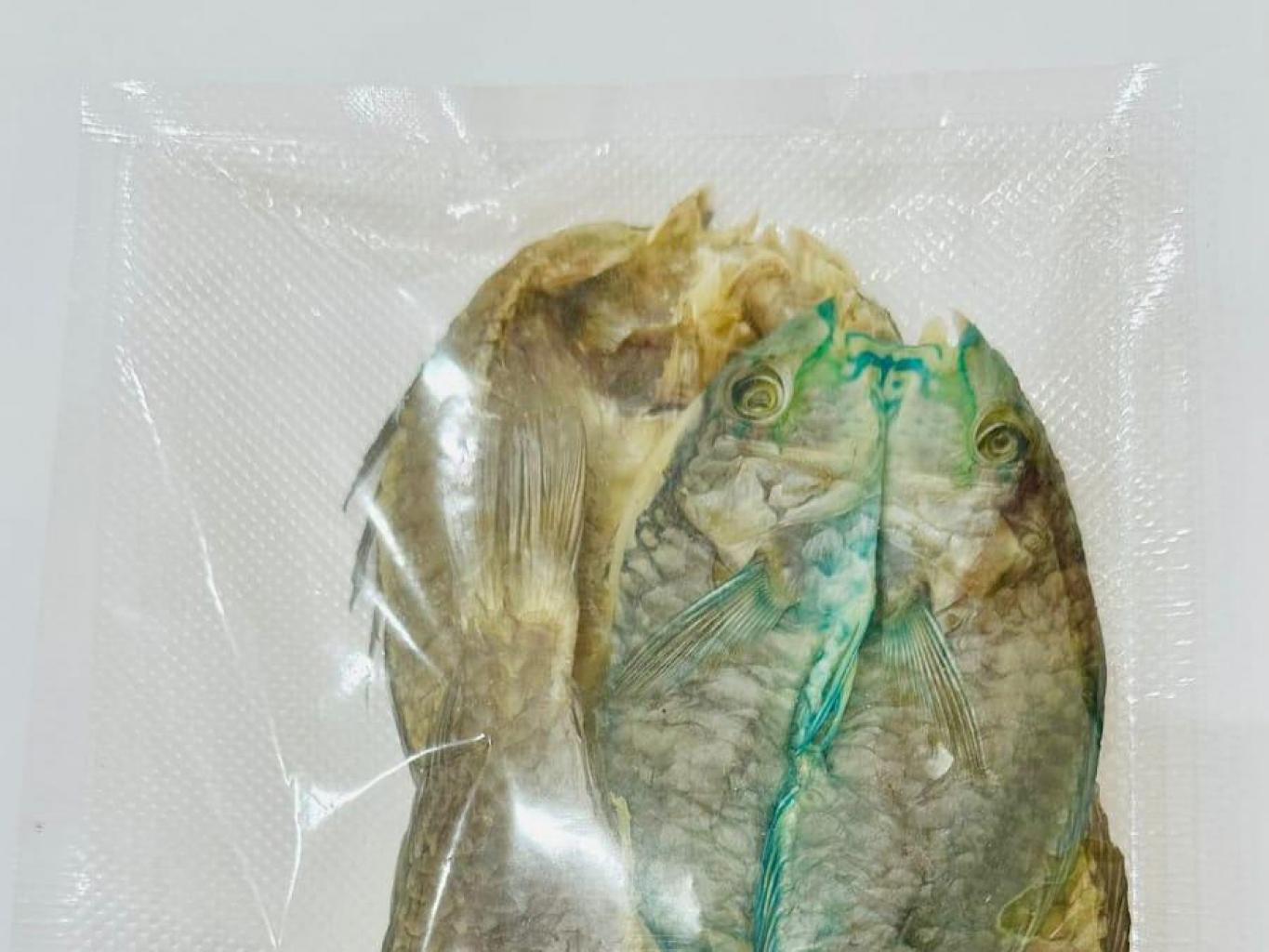 ikan asin pelangi