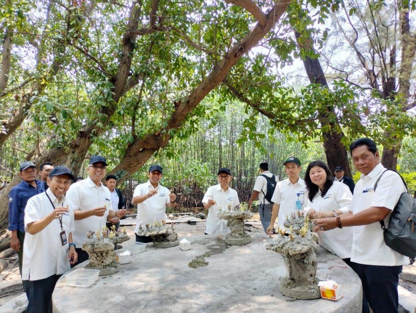 Transplantasi Karang