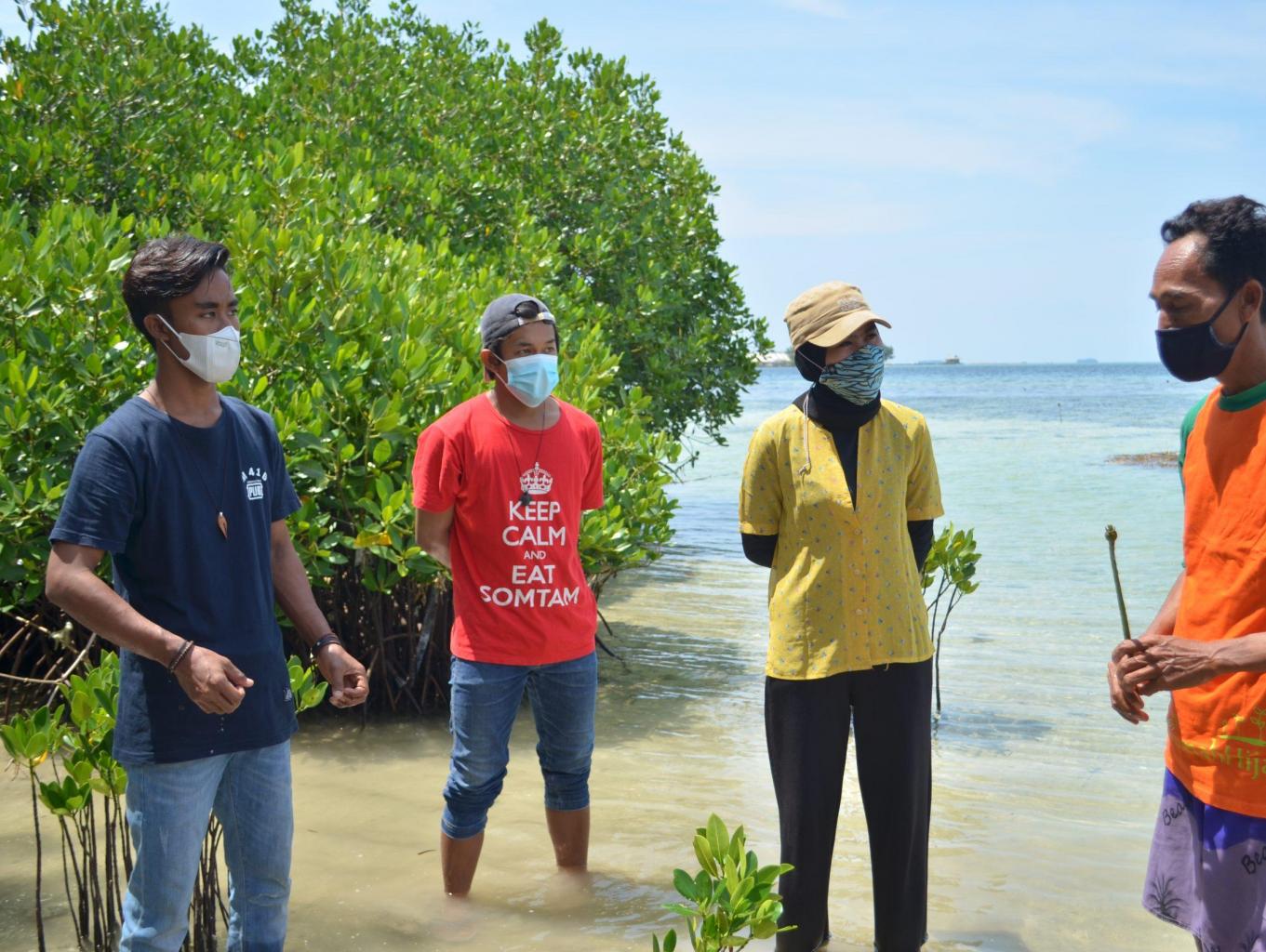 Konservasi Mangrove