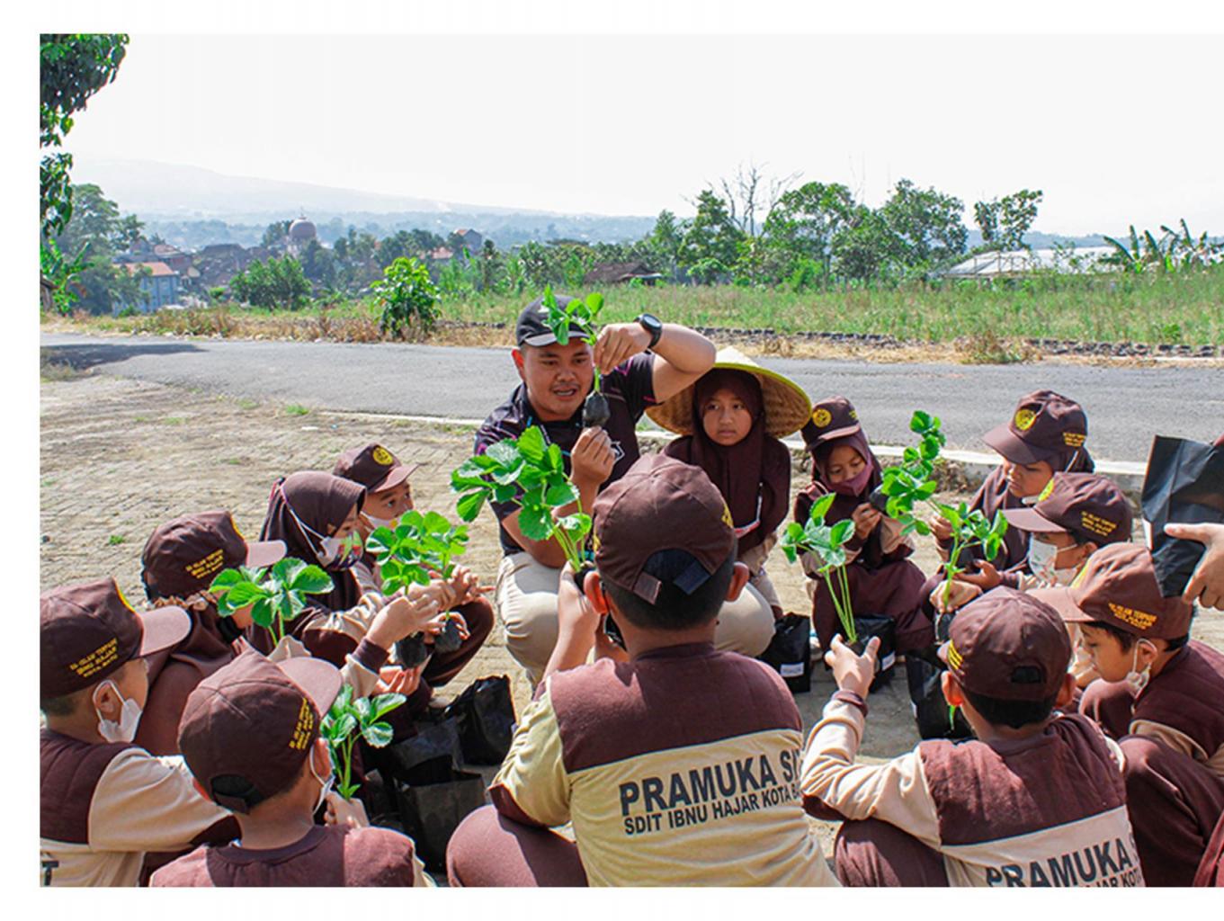 Edukasi Tanam Stroberi