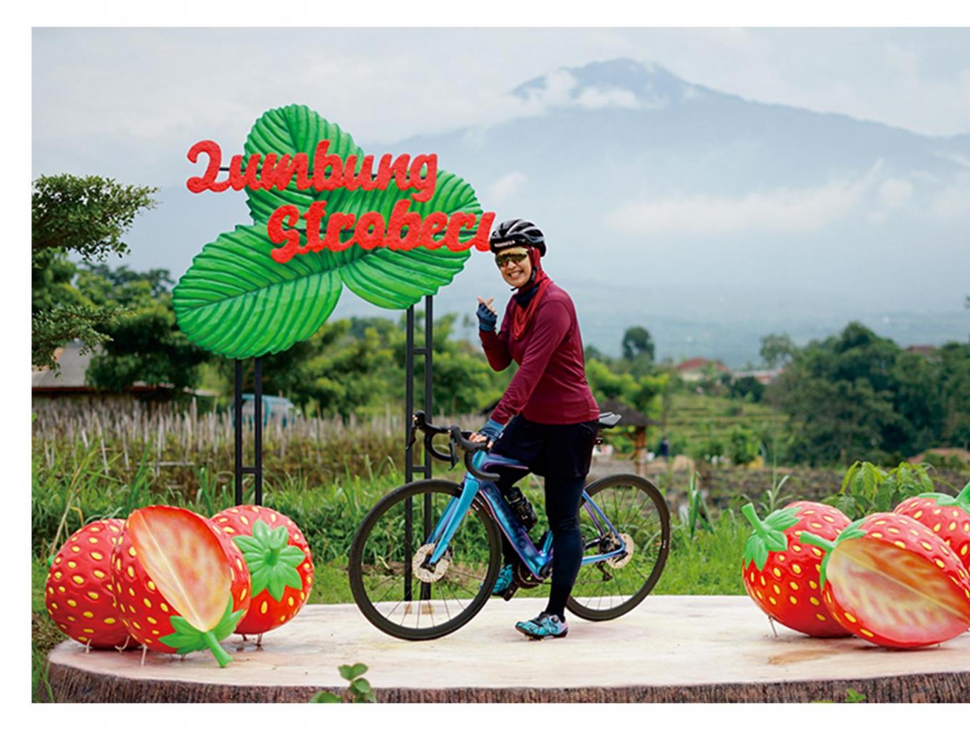 Fun Gowes