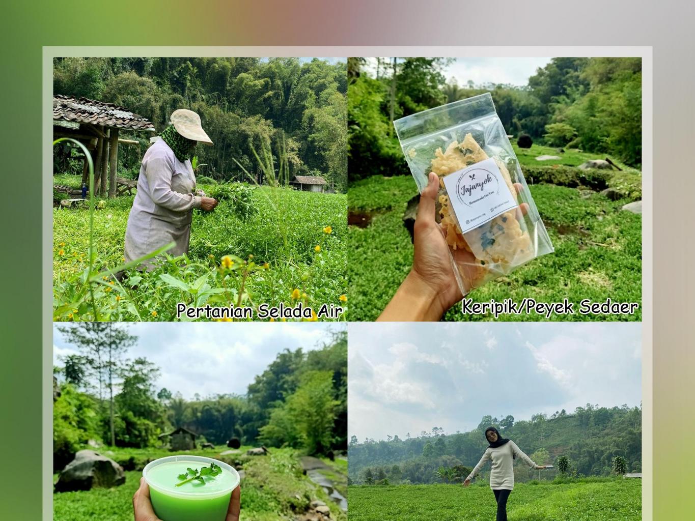 Keripik & Puding Selada Air
