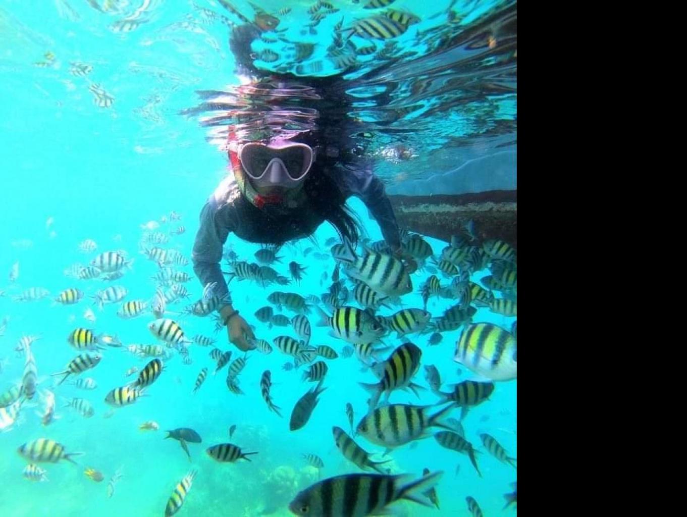 wisata bawah laut