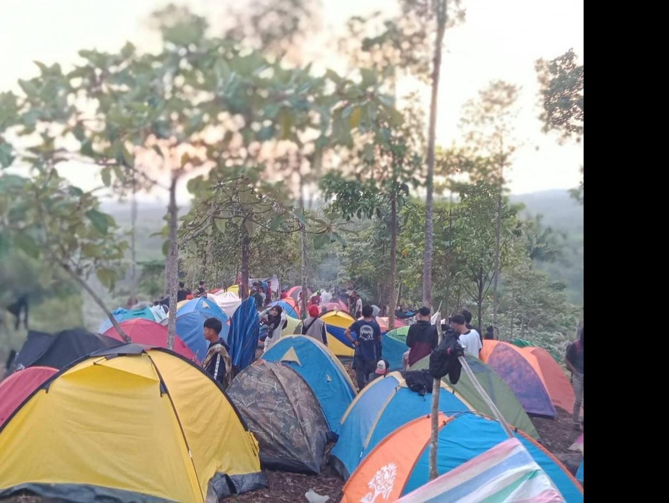 Camping 
