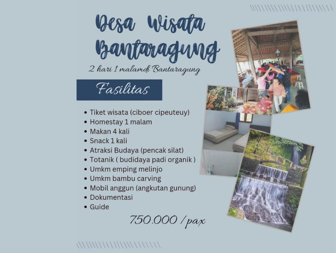 Paket Live In