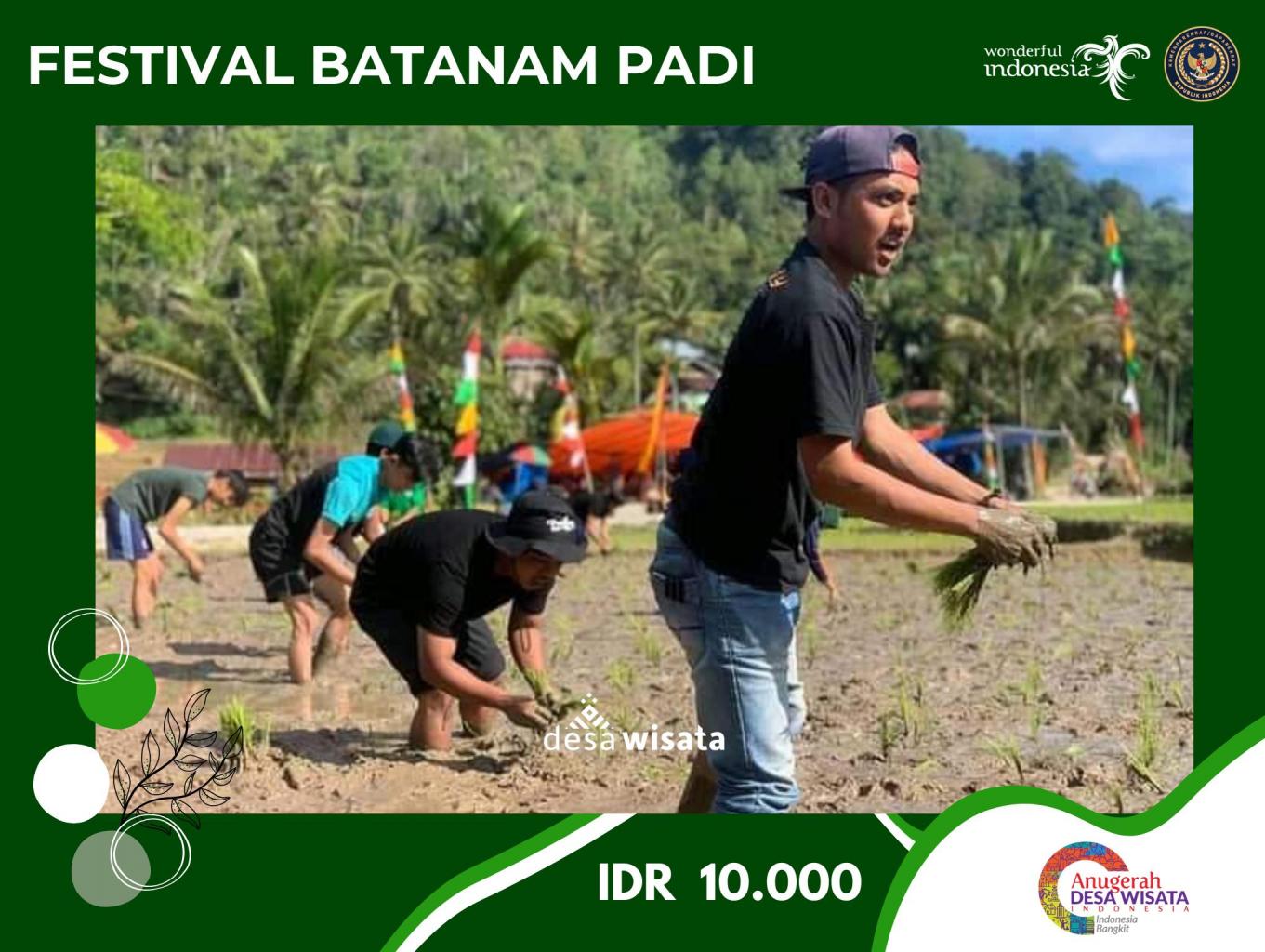 Festival Batanam Padi