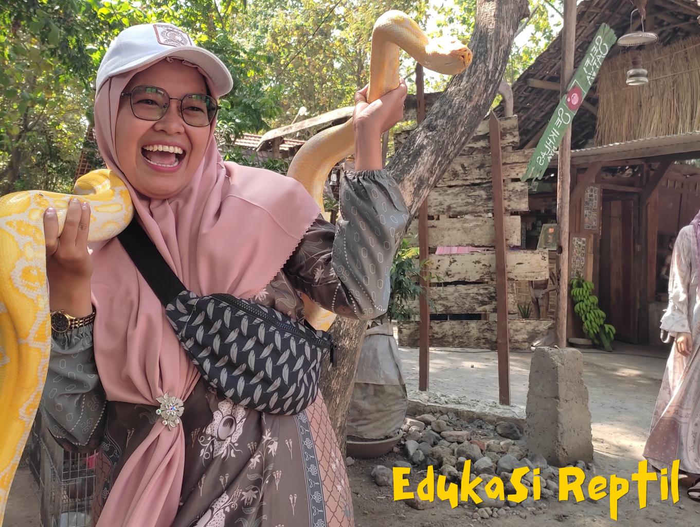 Edukasi Reptil
