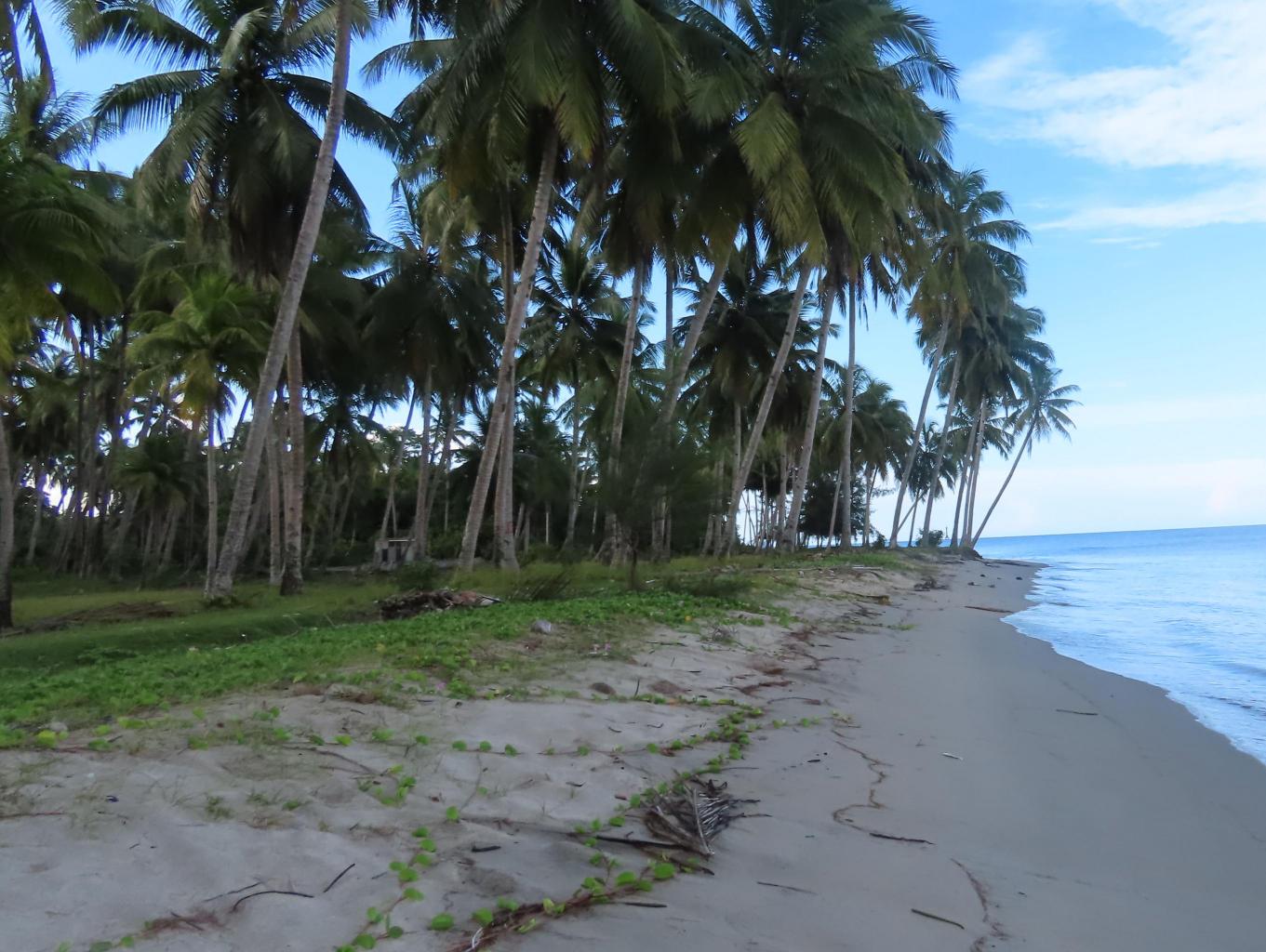 PANTAI POKAI