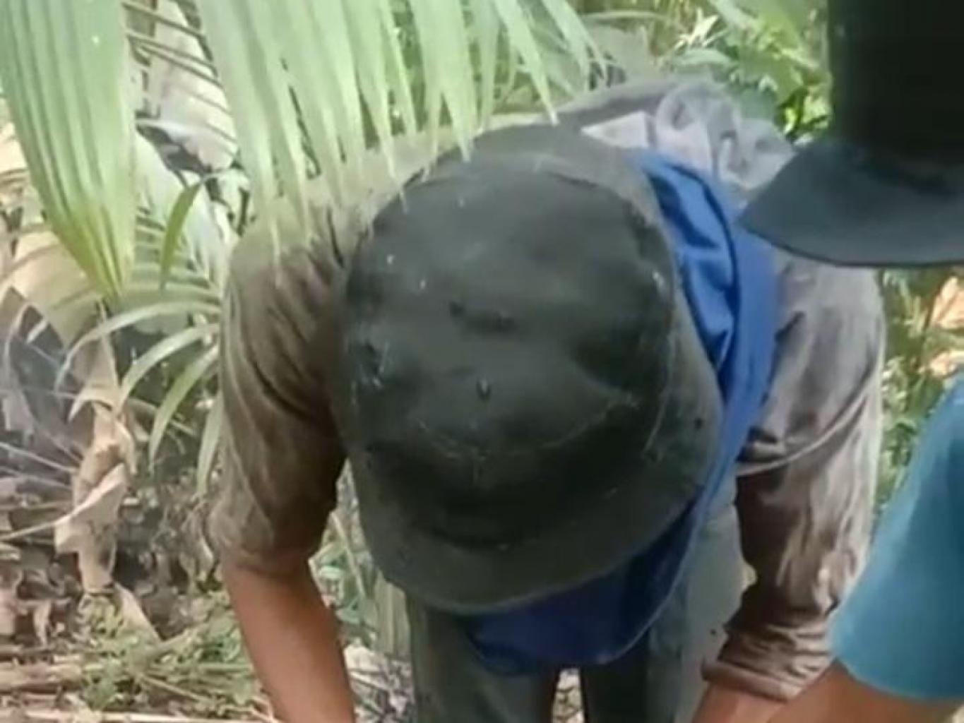 Panen langsung madu disarangnya