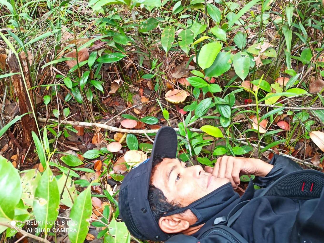 Nyarik Kulat Utan