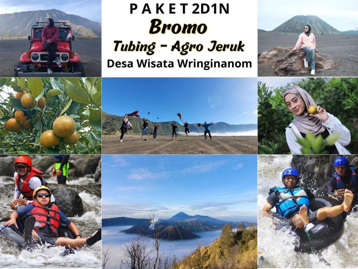 Bromo Tubing Agro Jeruk 2D1N
