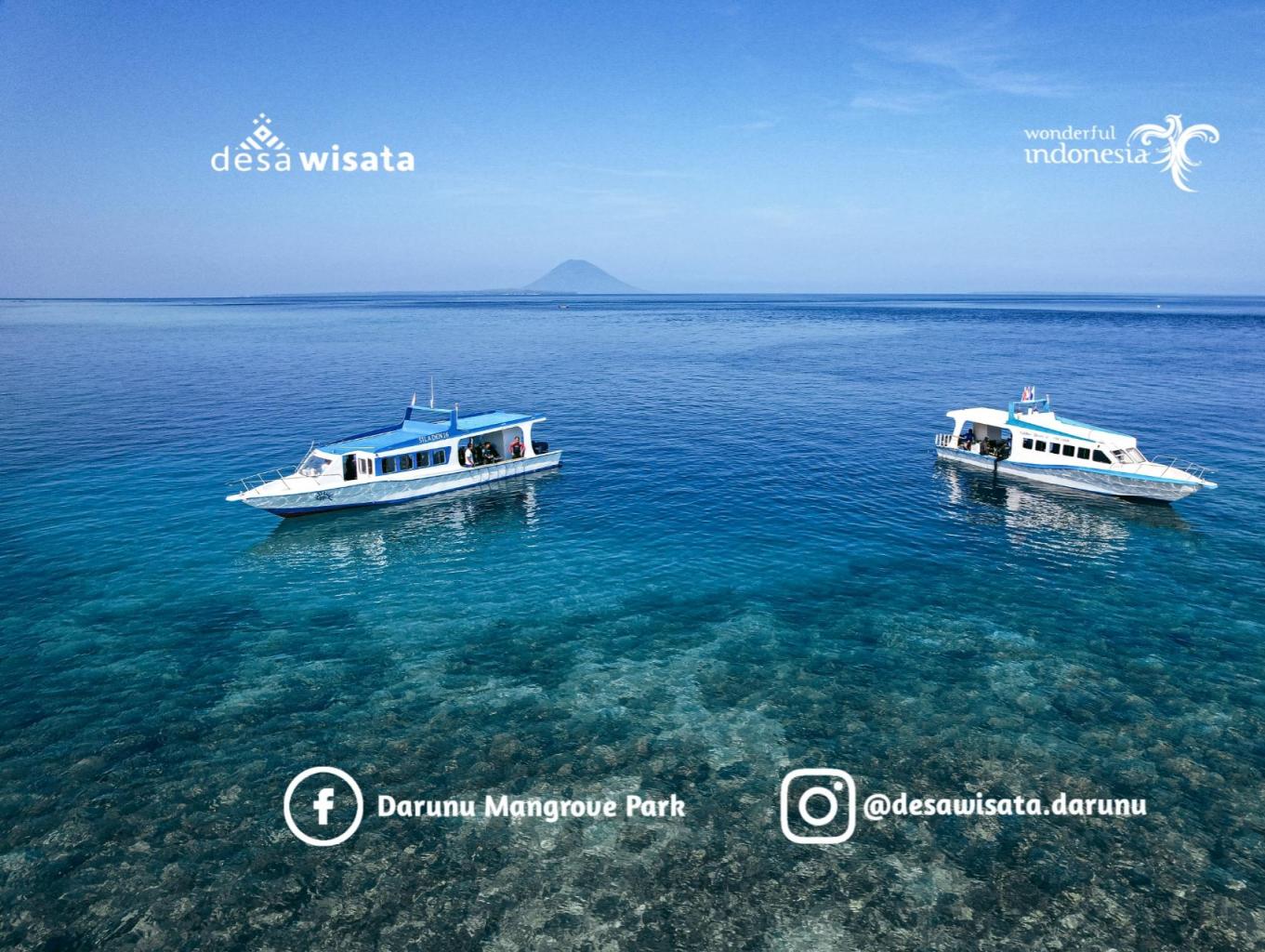 Scuba Diving & Free Diving