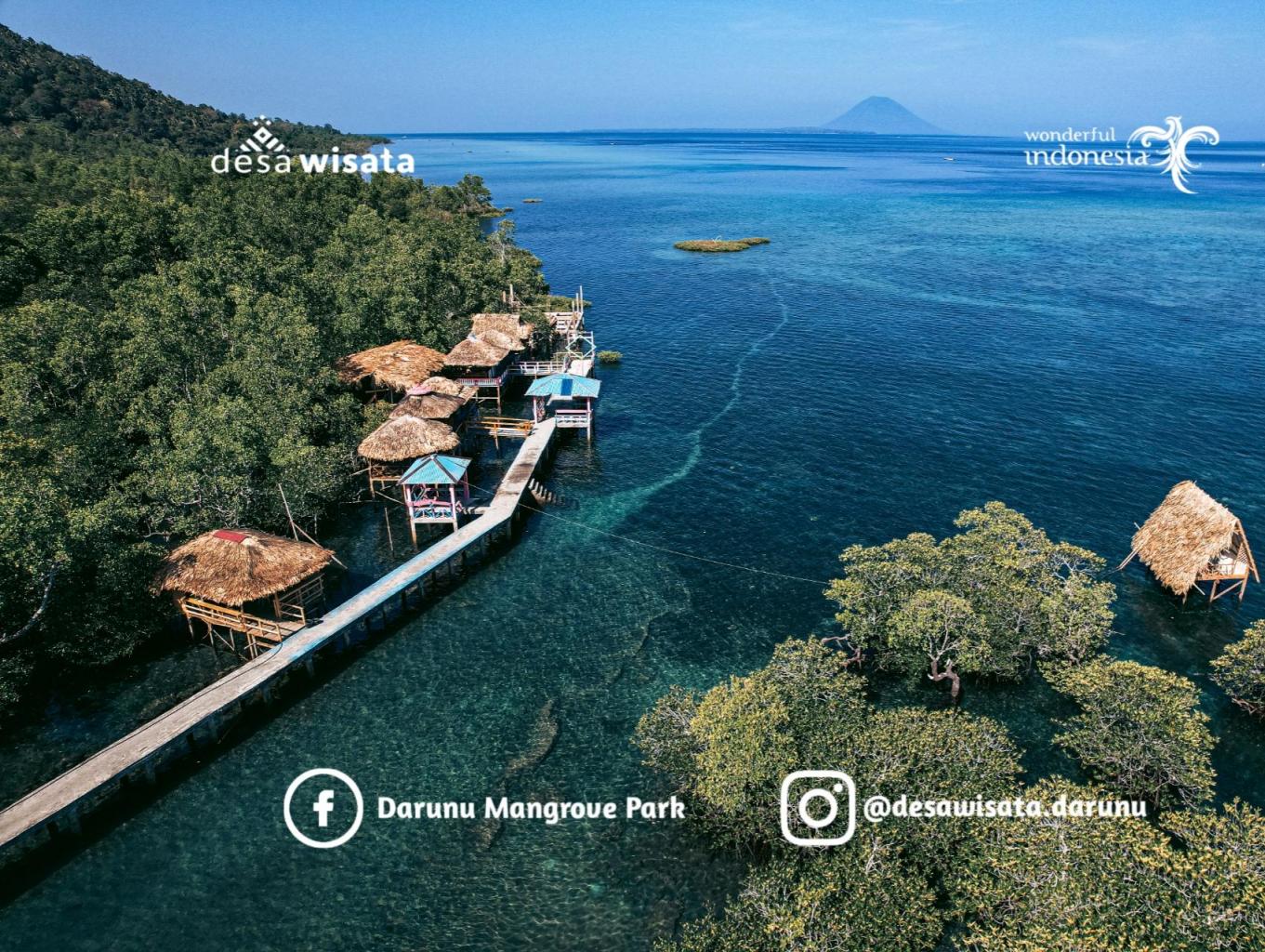 Wisata Hutan Mangrove
