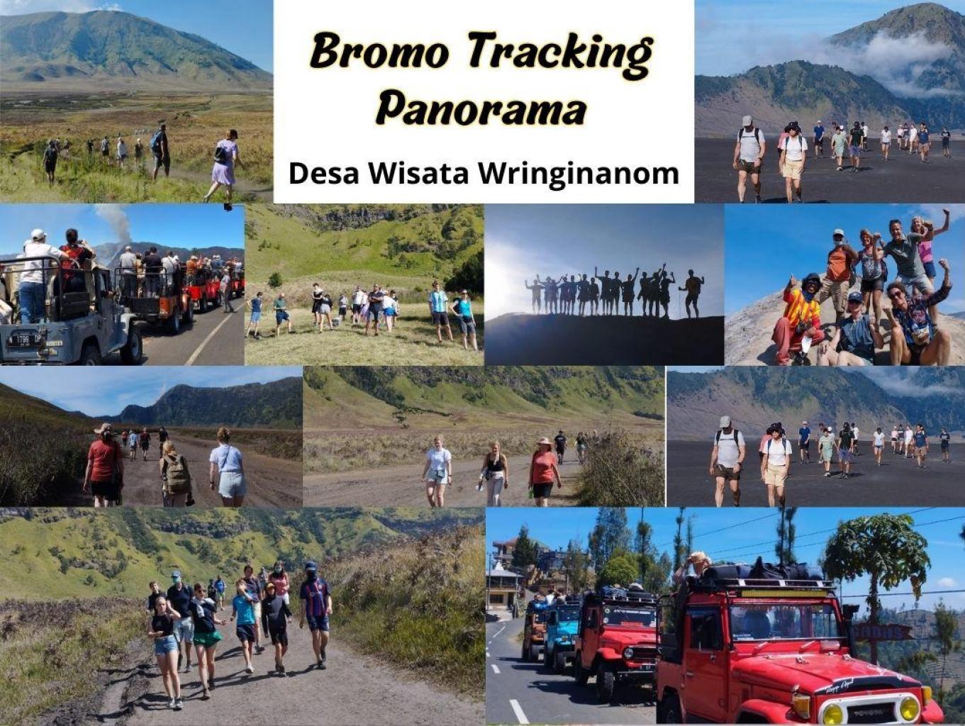 Bromo Tracking Panorama