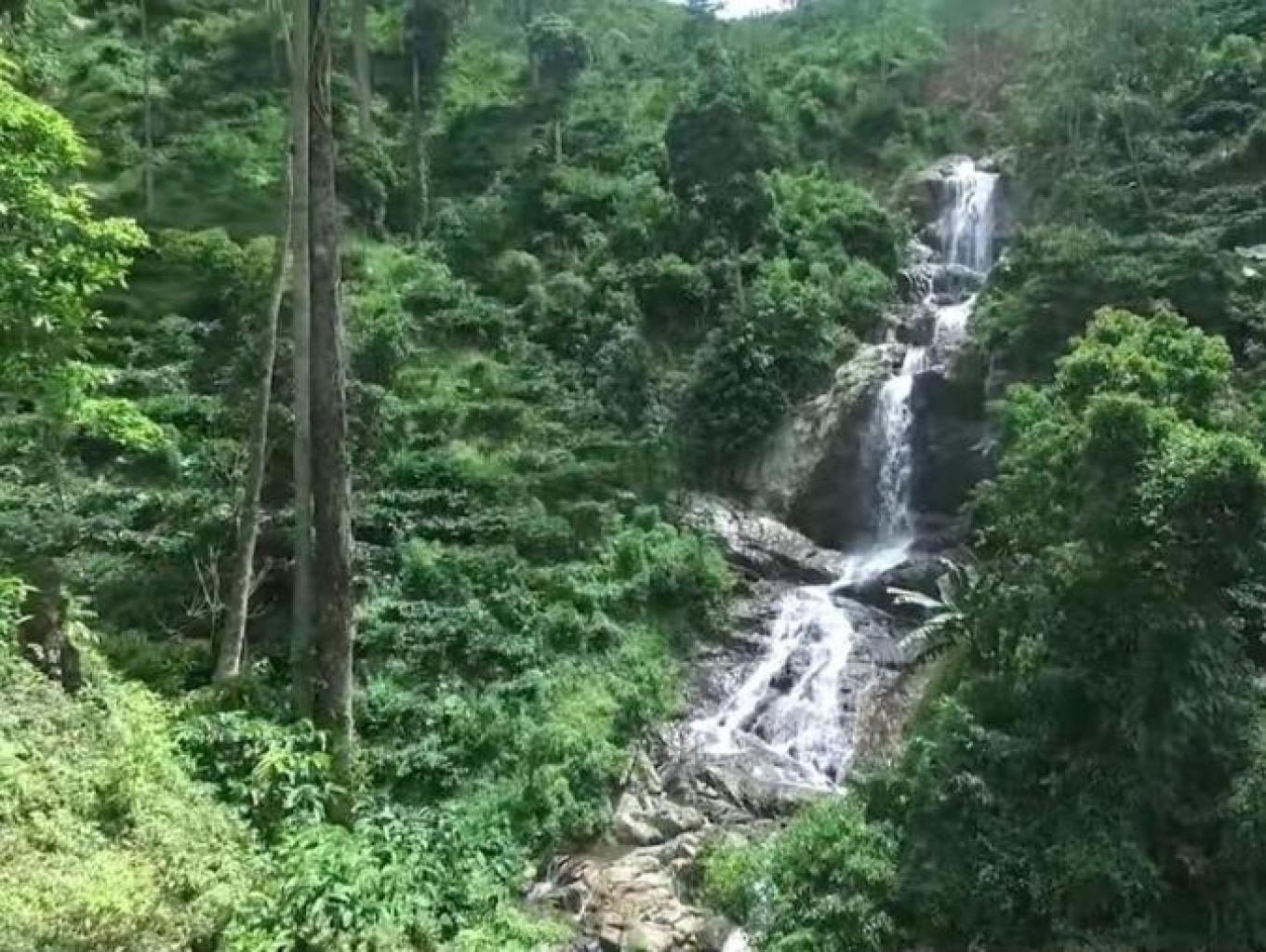 Terjun Tirto Gumitir