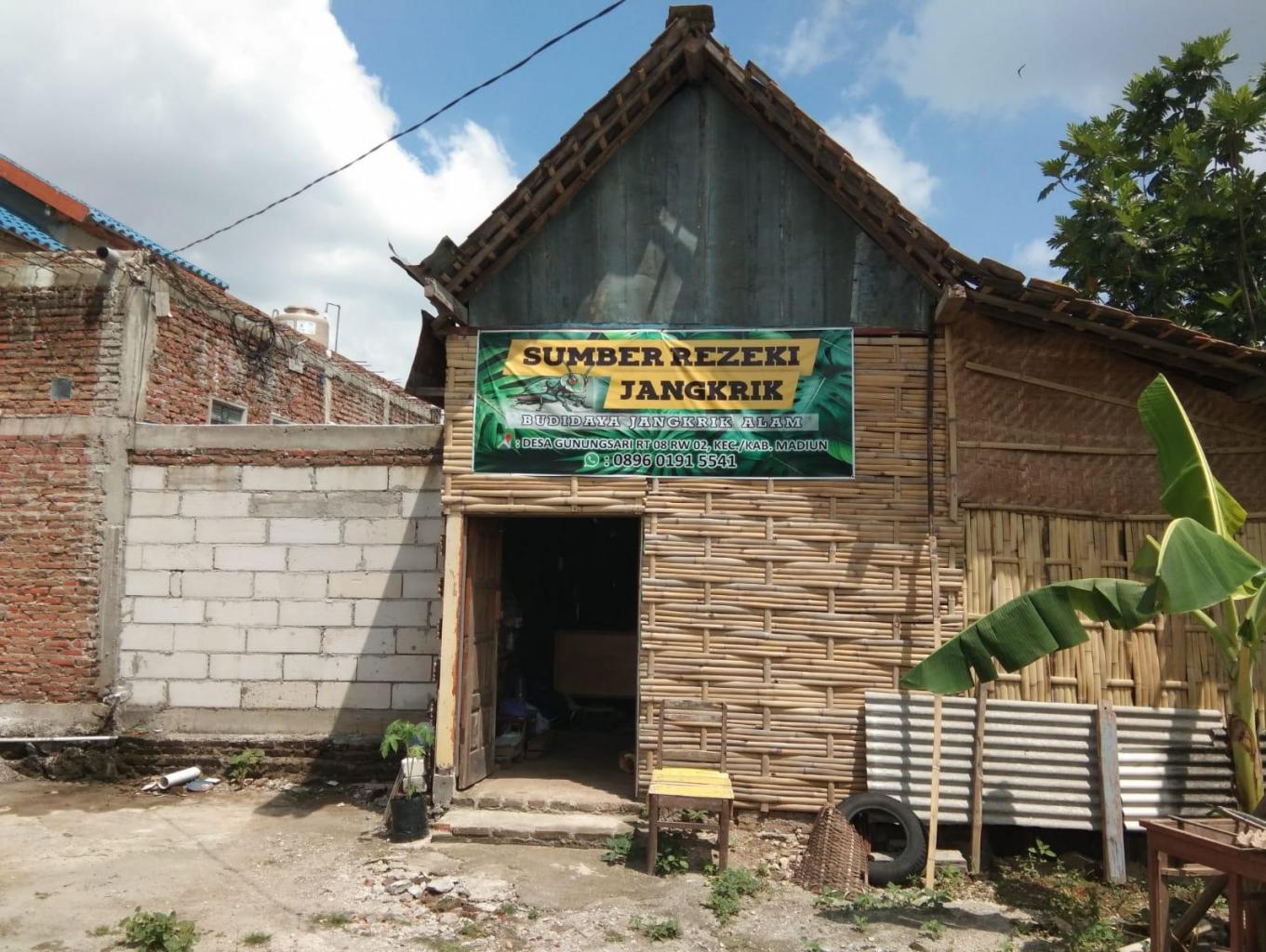 Budidaya jangkrik