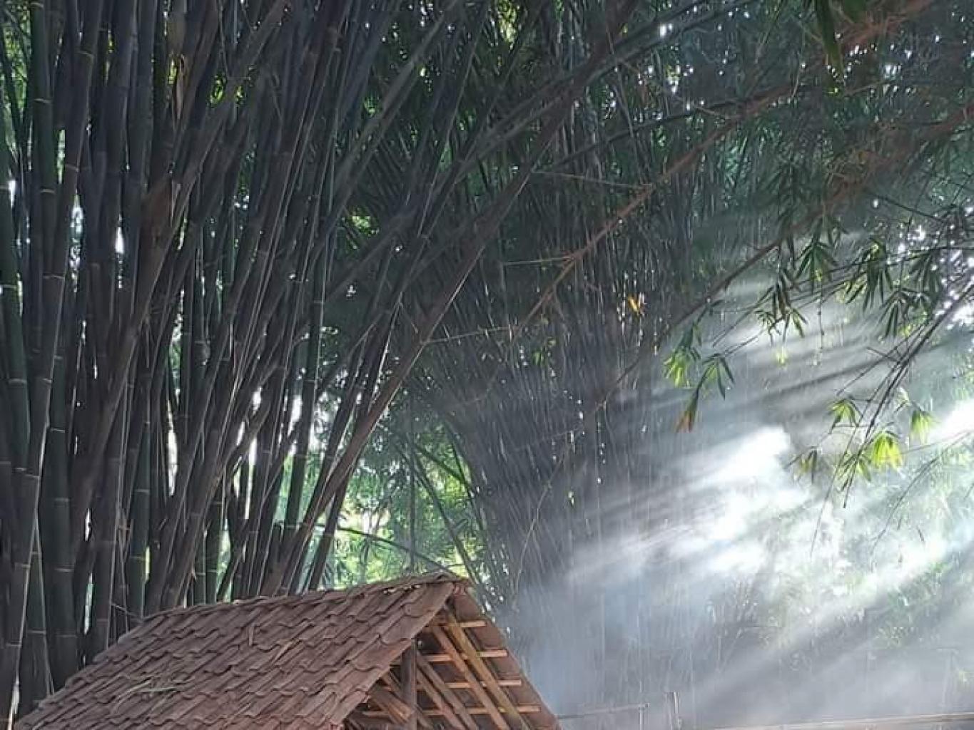 pasar pring pringan desa bumiaji