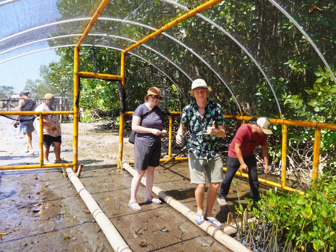 Mangrove Edutour