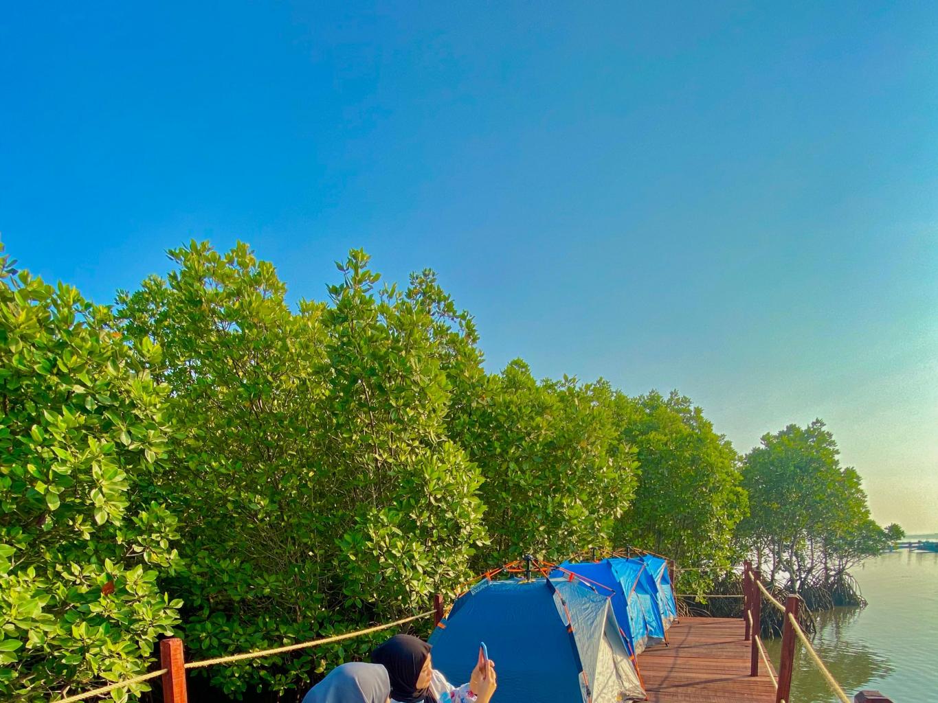 Mangrove Camp
