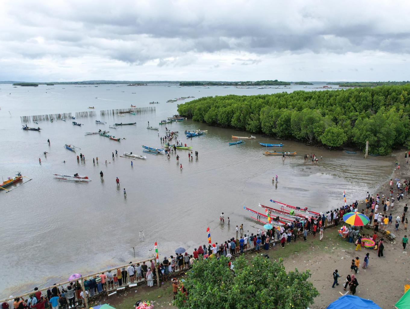 Festival Bale Mangrove