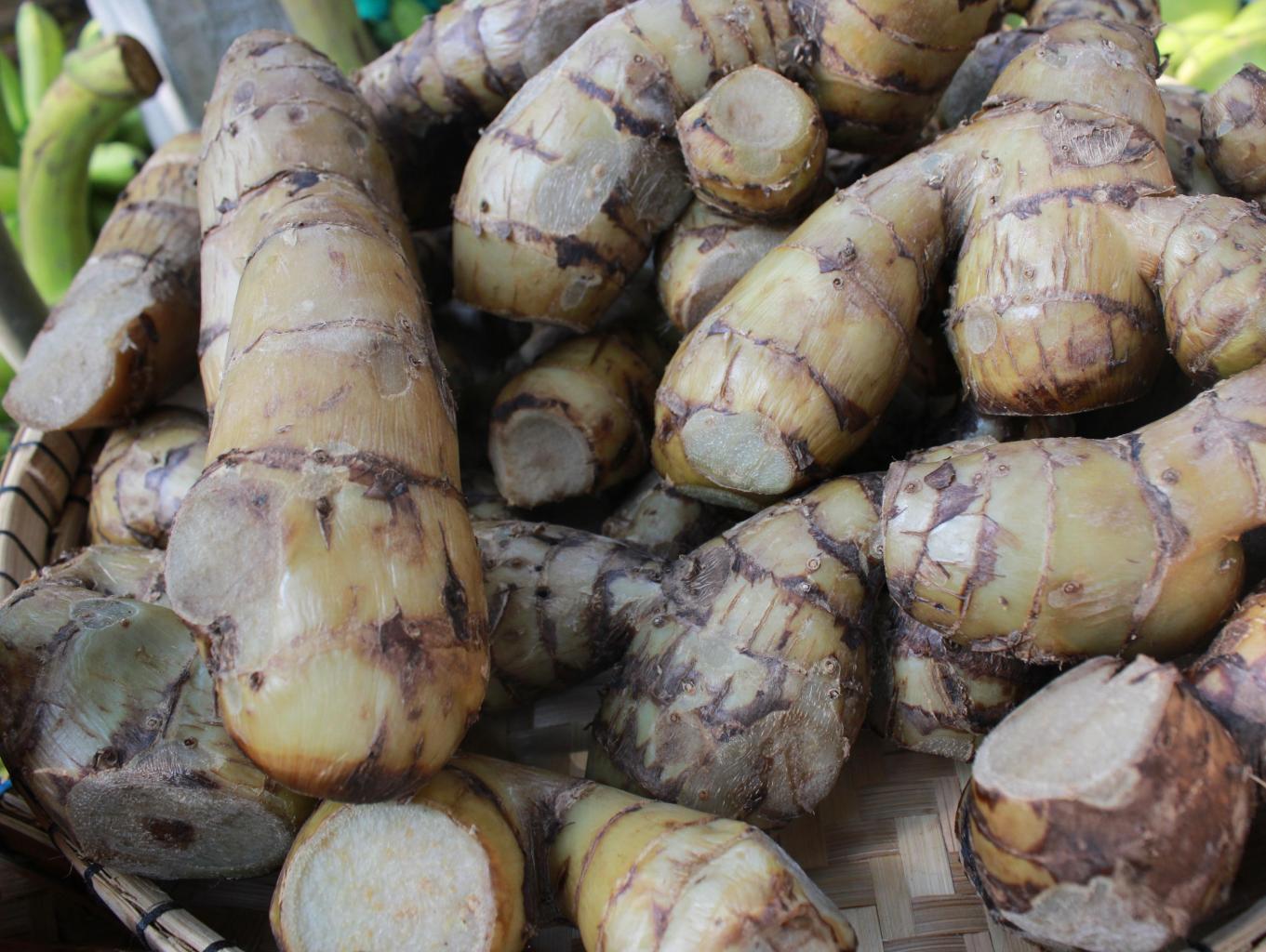 Ganyong