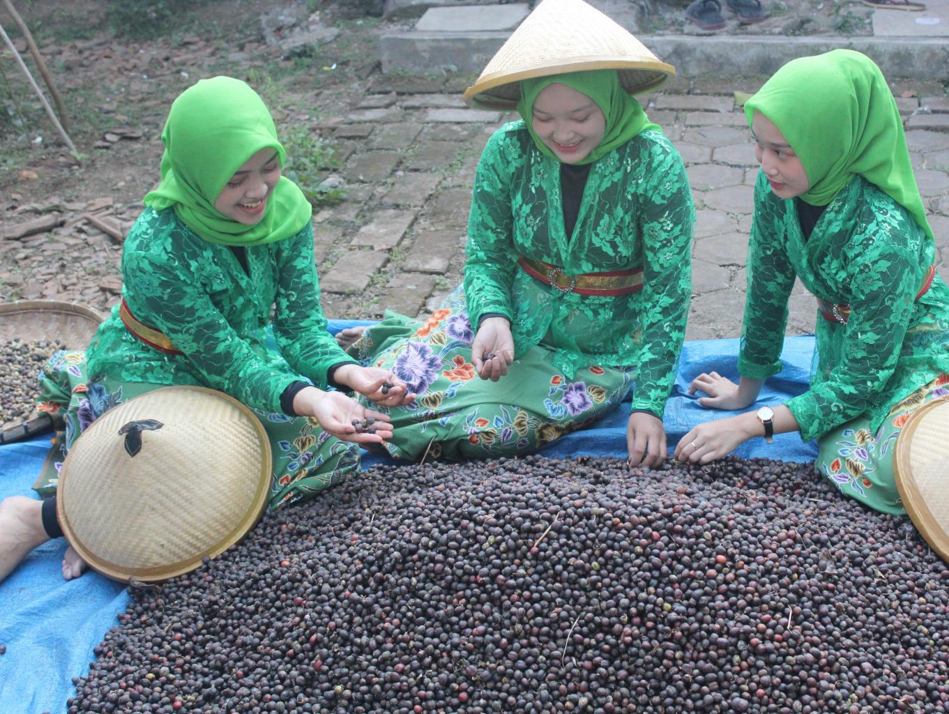 Tari Wiwit Kopi