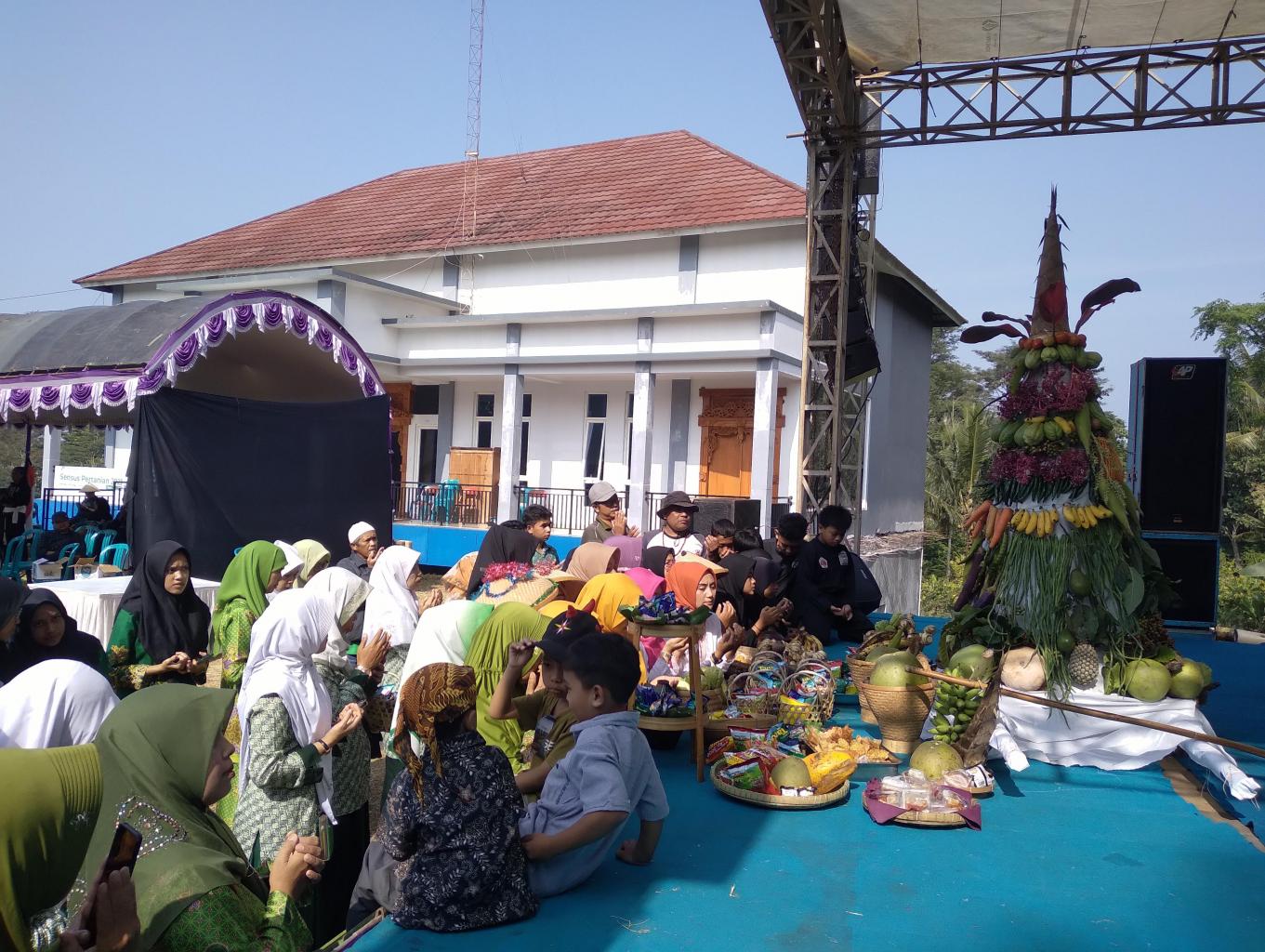 Apitan, Sedekah Bumi Japan