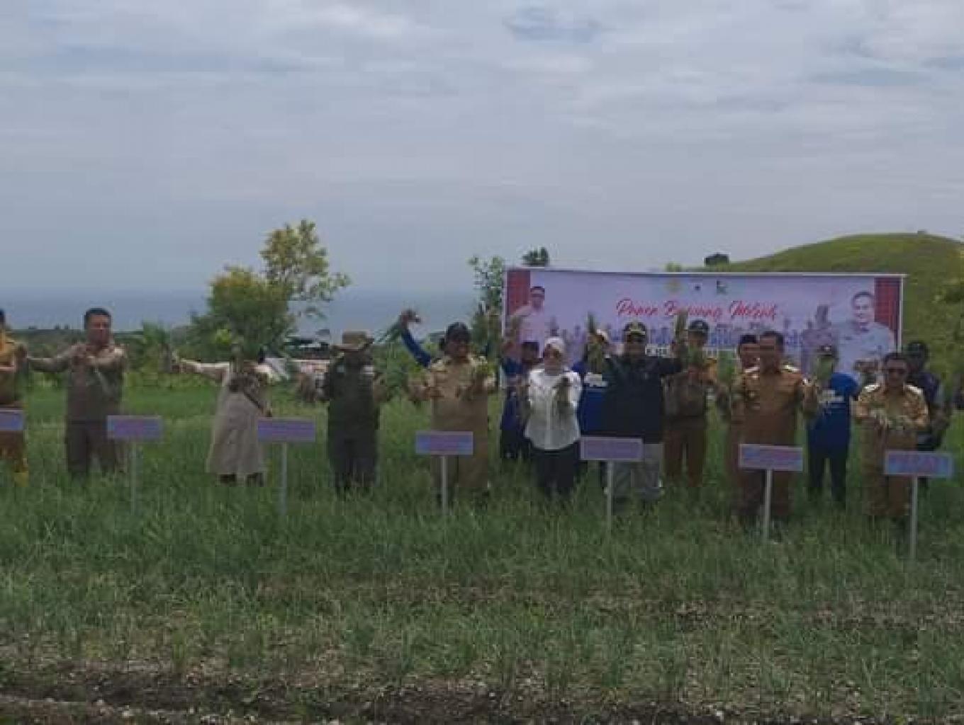 agrowisata Bawang