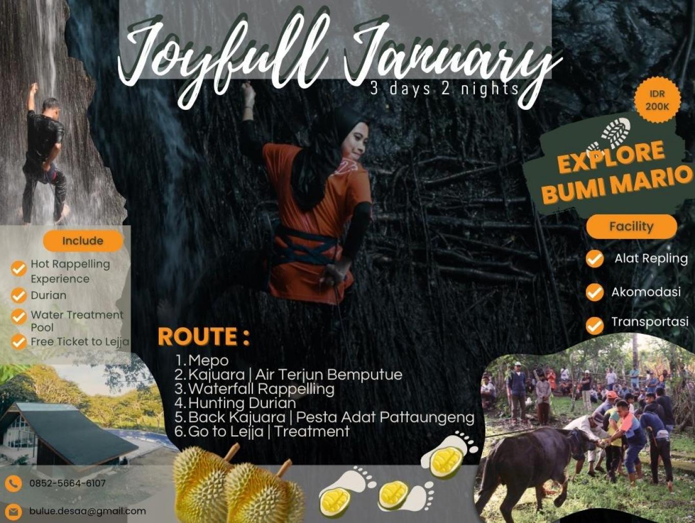 Joyfull January