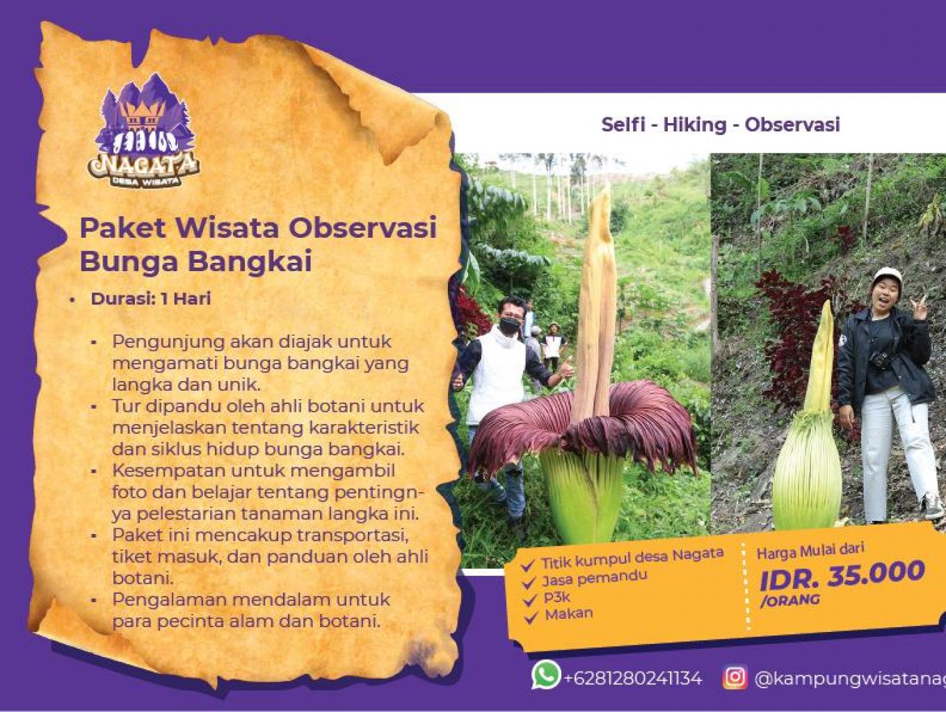 Mengamati bunga bangkai di Desa Wisata Nagata