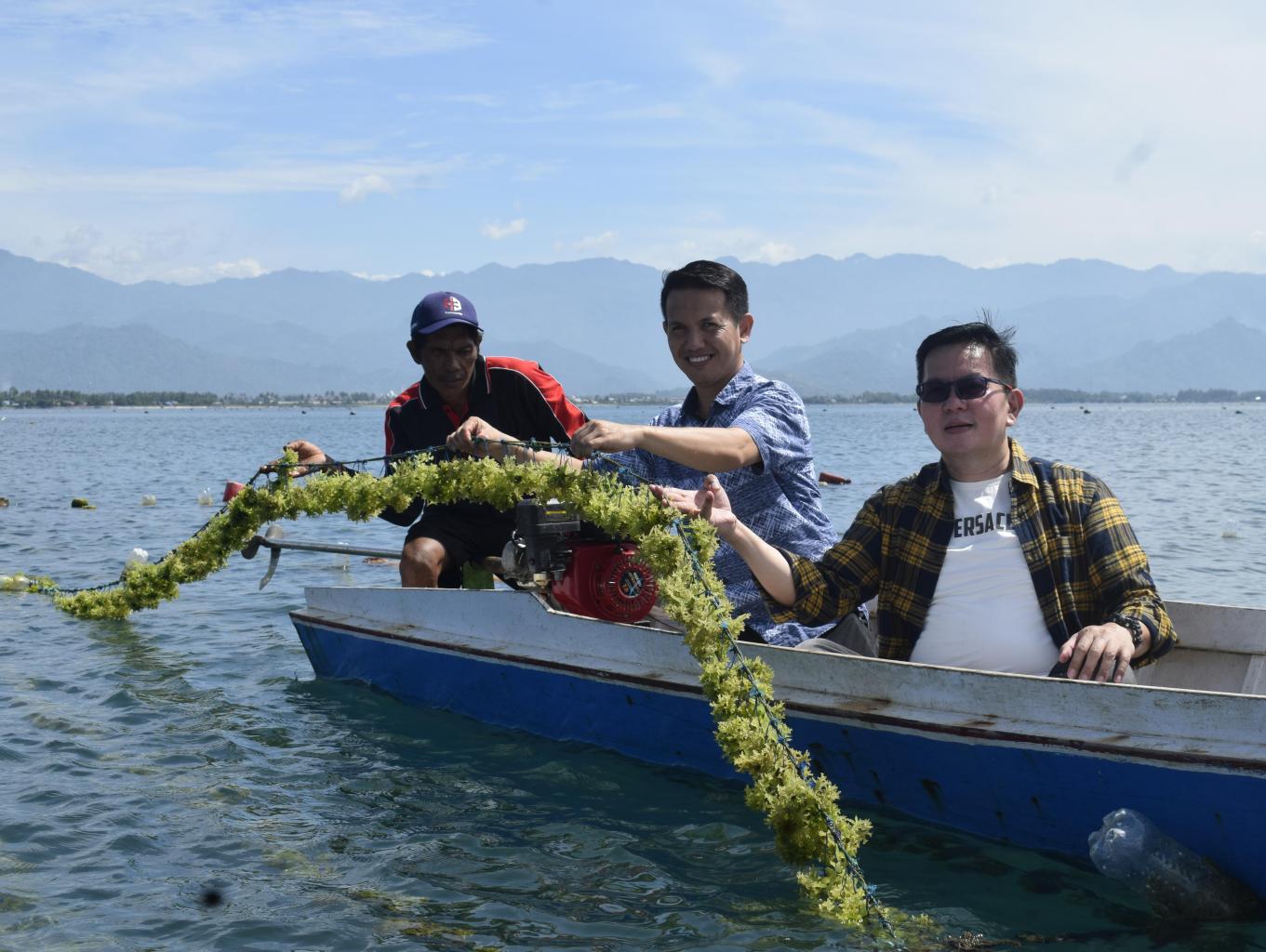 Wisata Rumput Laut
