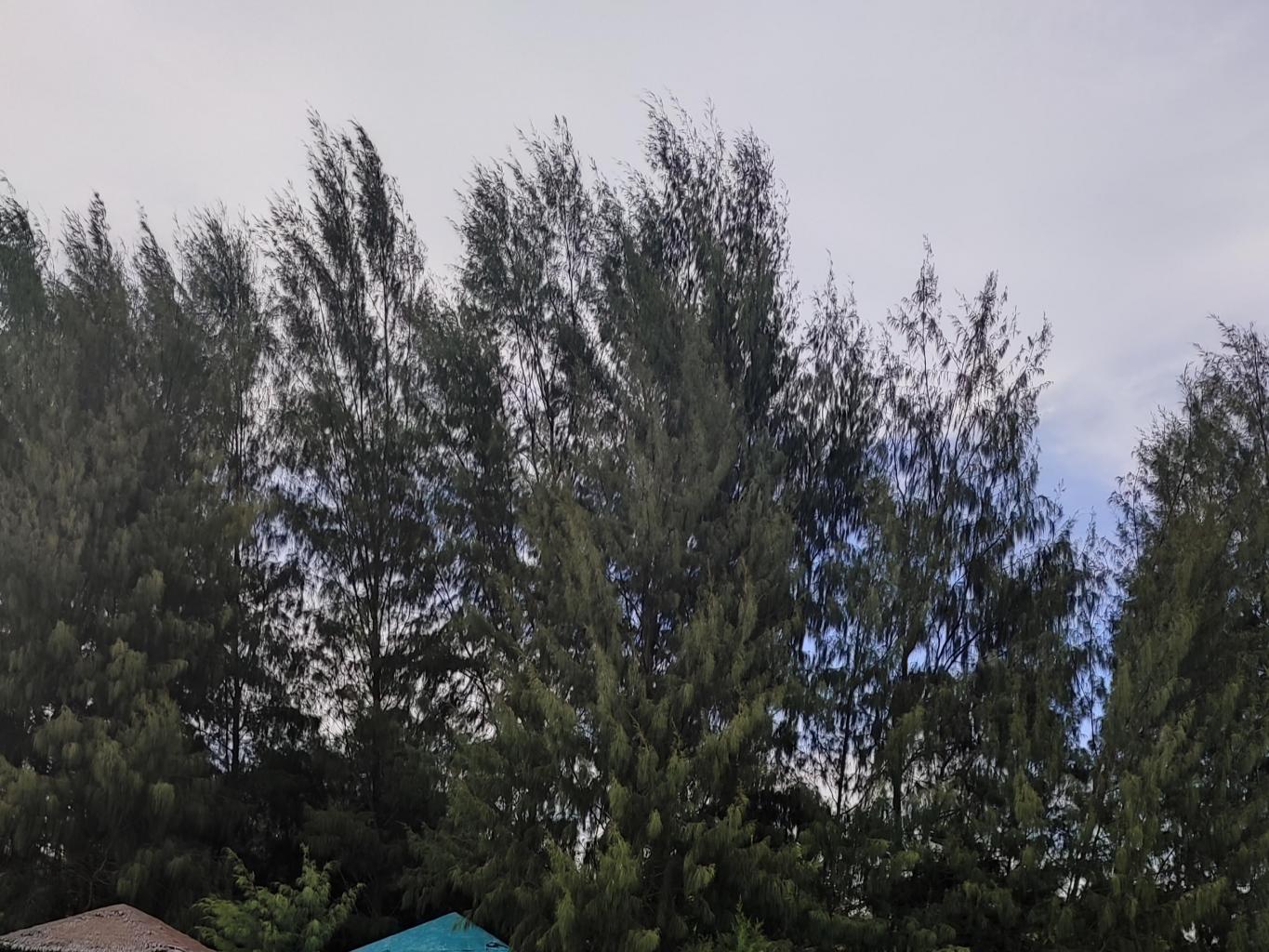 Talaga Beach