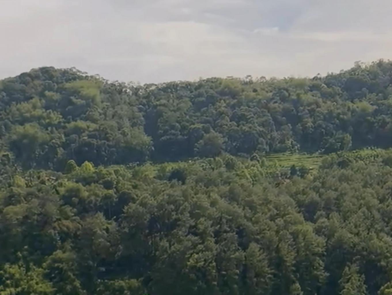Bukit Carik