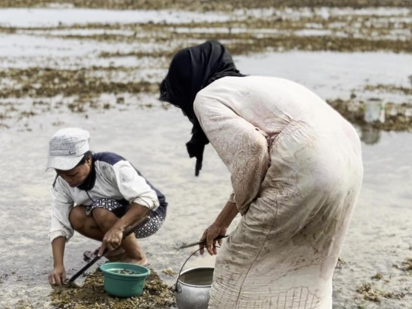 Atraksi Mencari Kuku