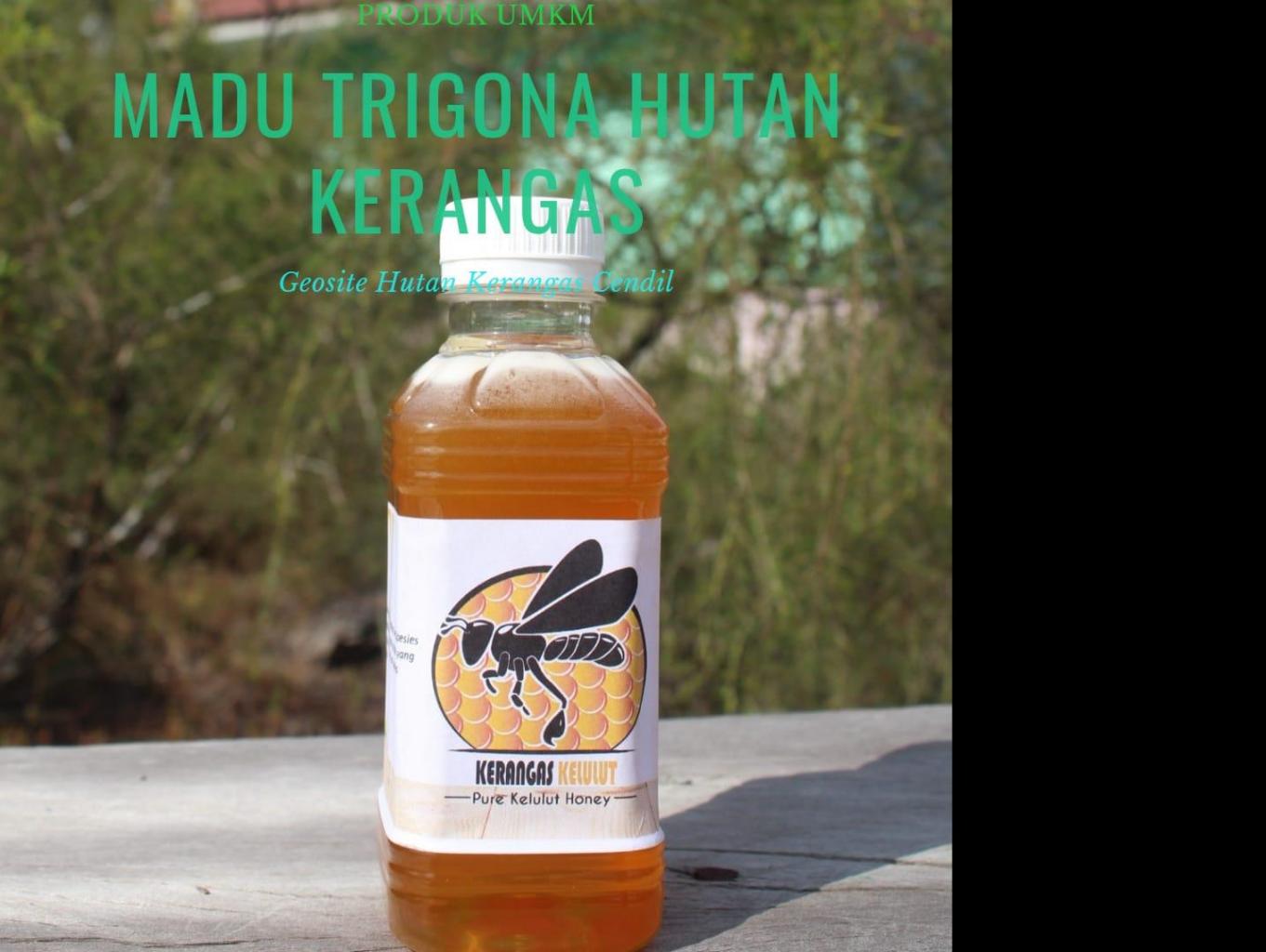 Madu Trigona Kerangas