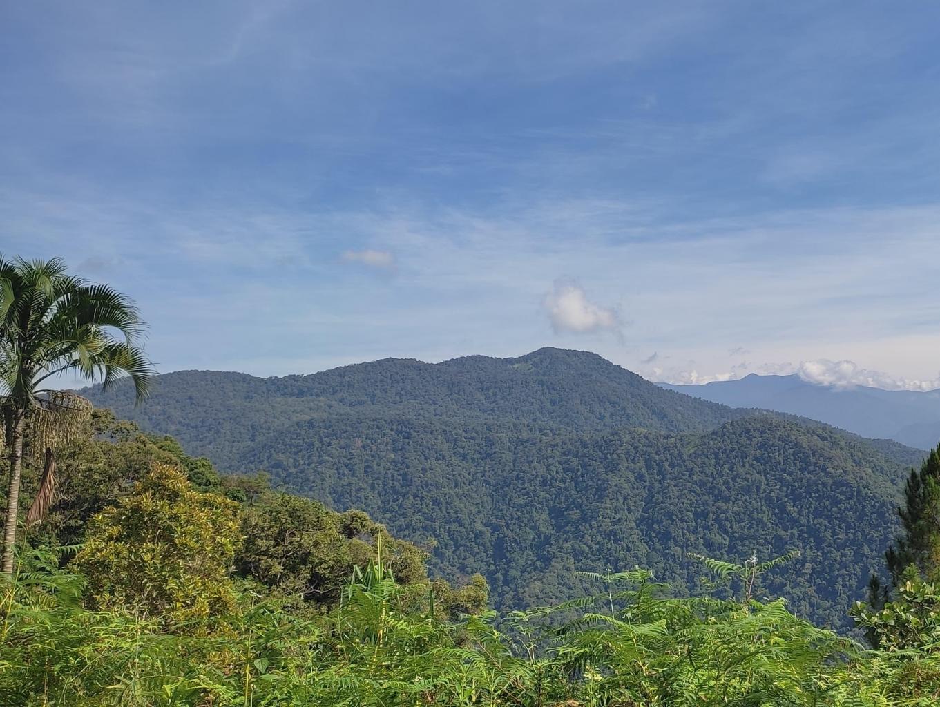 Kampung Wisata Battang Sipatuo