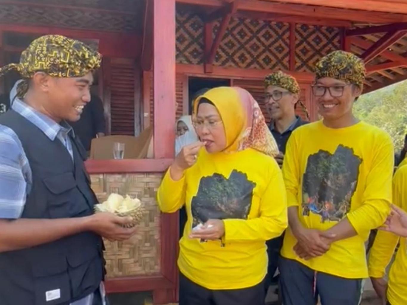 Agro Wisata Kebun Durian Bumi Ciseuti Curuggoong