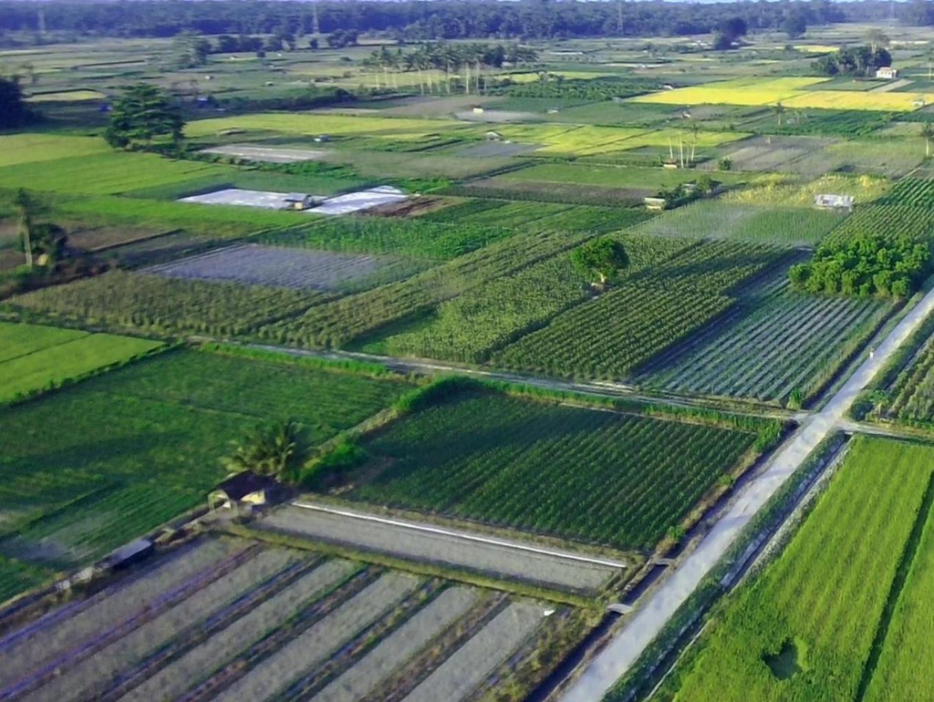 Wisata Agro (Kebun Hortikultura)