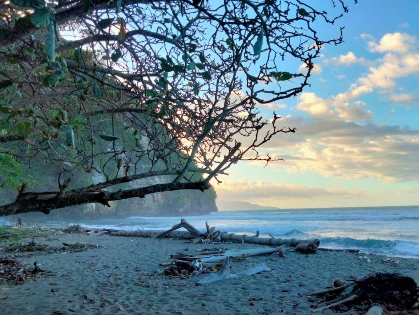 Tetang Pe /Skouw Yambe