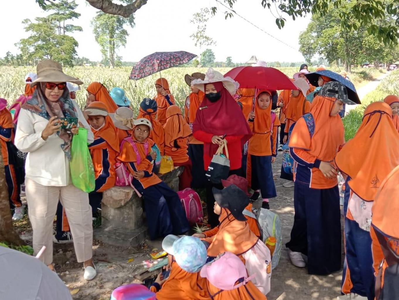 Story Telling Kawasan Agrowisata Nanas