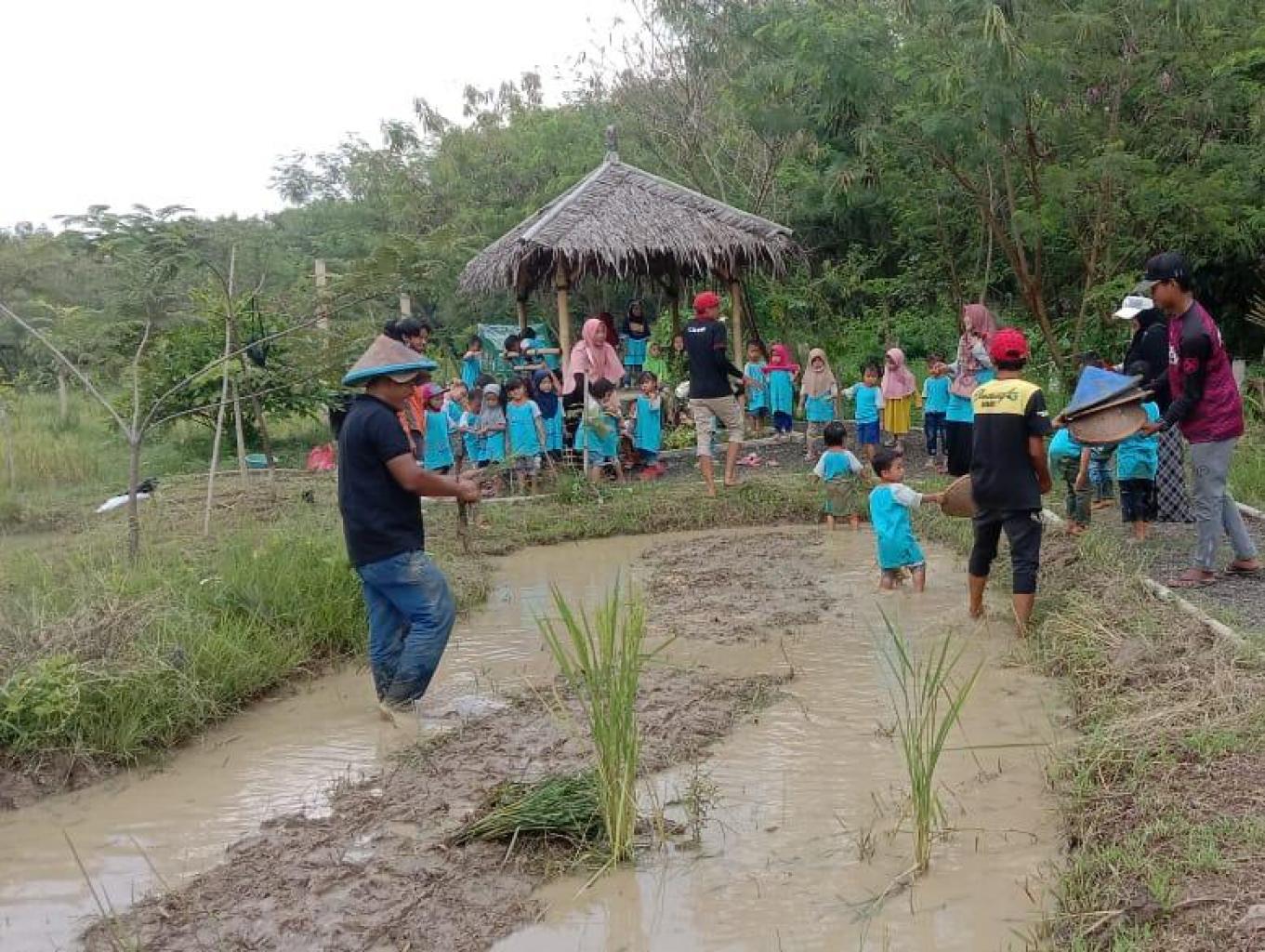 TAMAN EDUKASI SEKOLAH