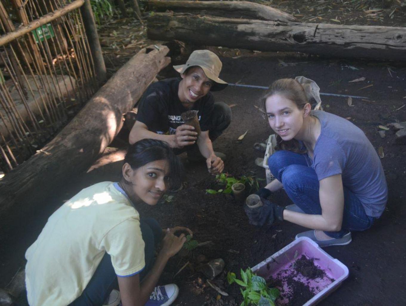 Green Culture