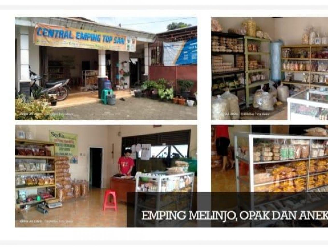 Central Emping Top Sari