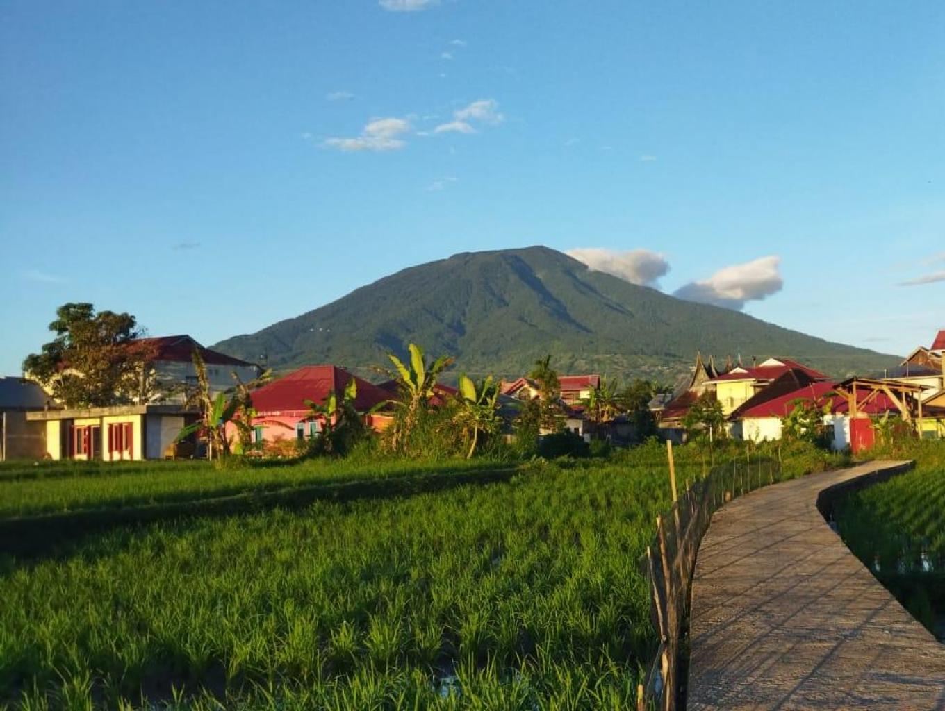 Jelajah sawah