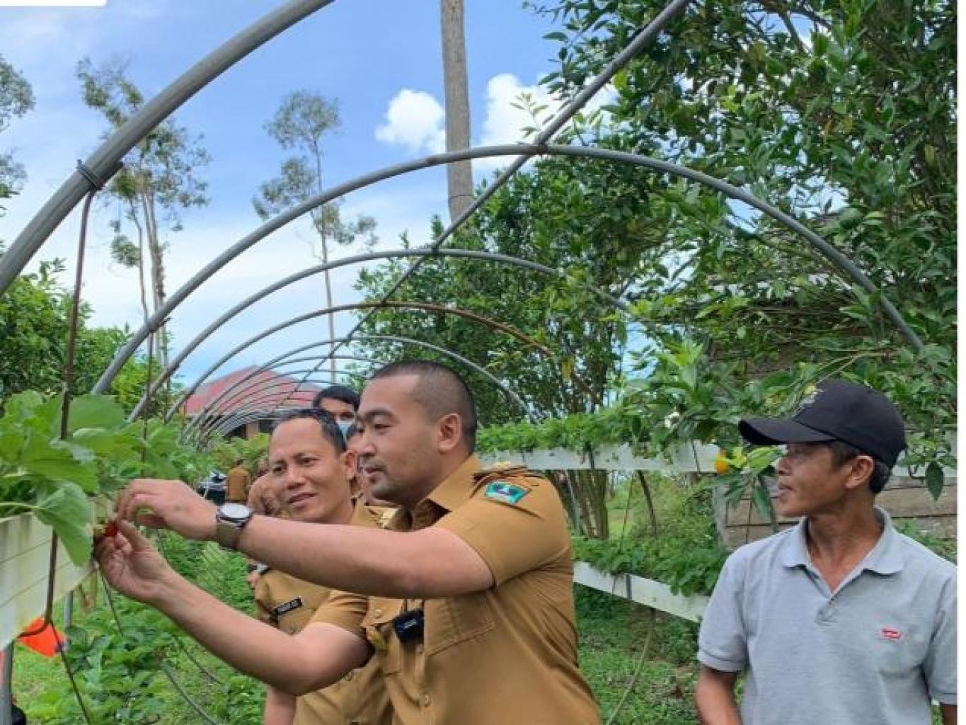 wisata agrove