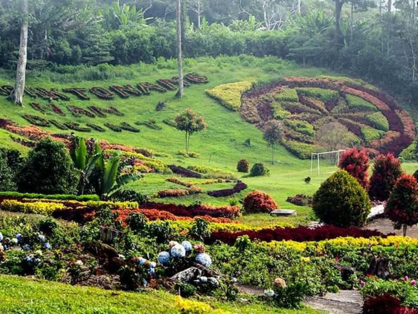 taman Bunga