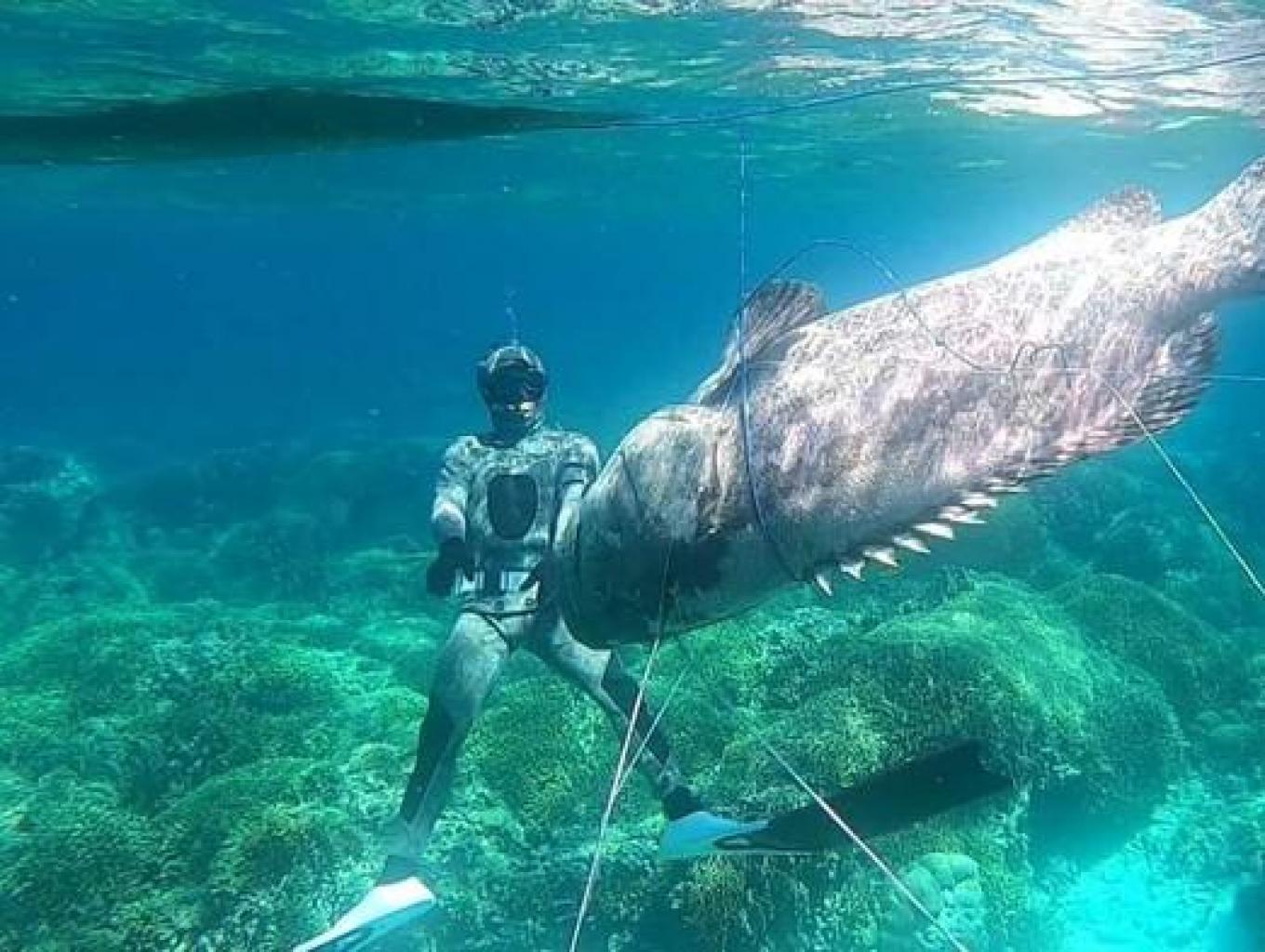 Kawasan Konservasi Laut Wasuemba (kaombo)