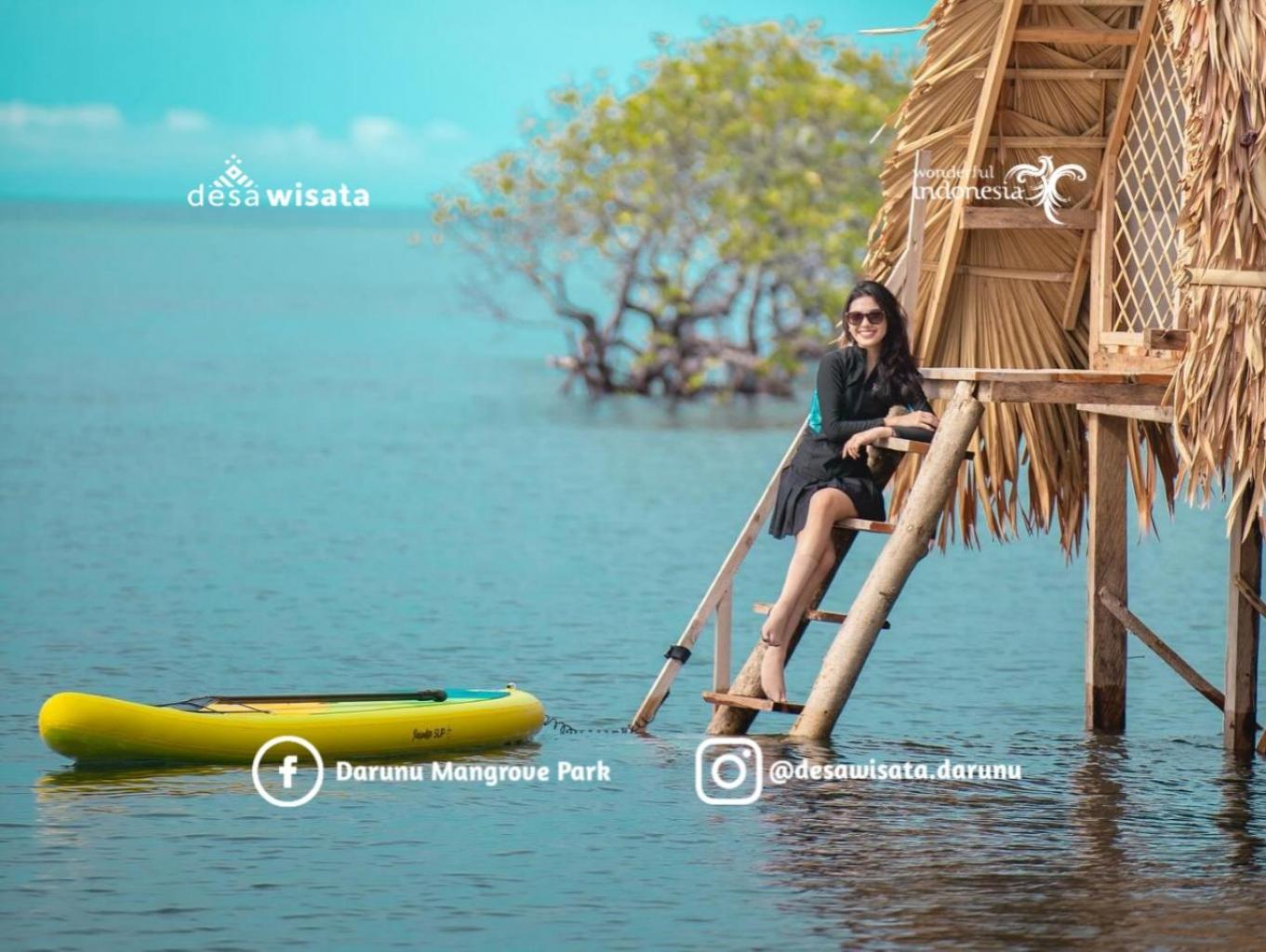 Paddle Board